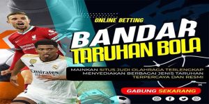 Sportsbobet App