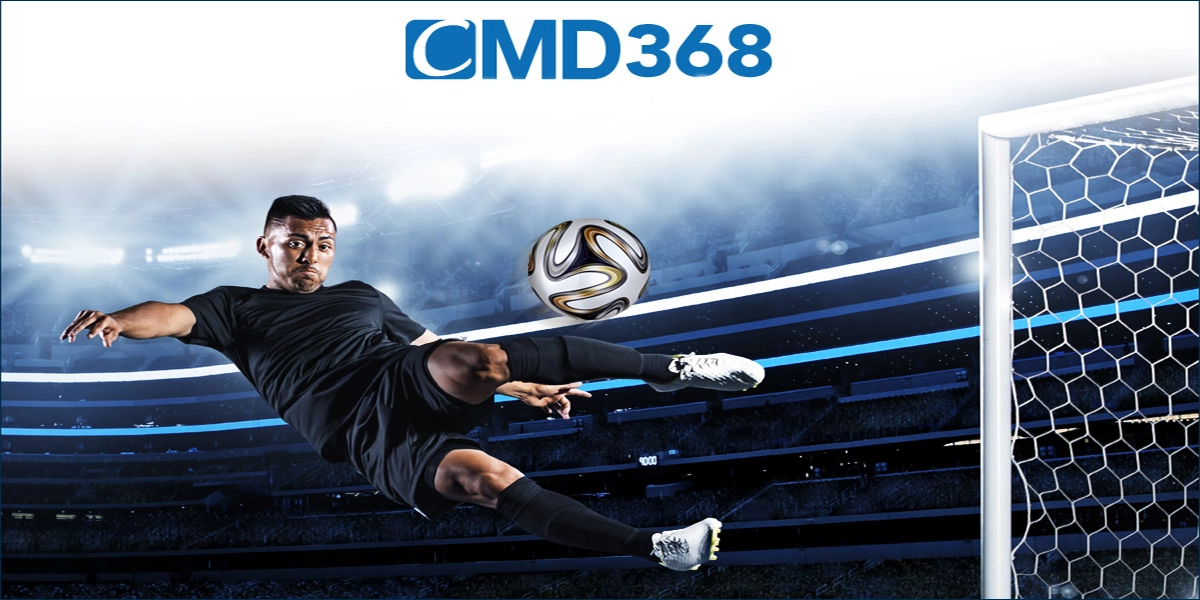 cmd368-banner