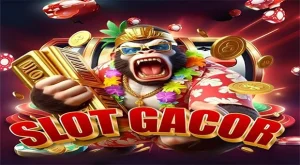 Sportsbobet Info